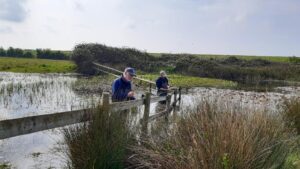 Wildlife trust fundraising as Dorset’s wetlands and waterways in ‘crisis’ – Bournemouth Echo