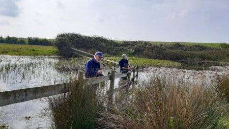 Wildlife trust fundraising as Dorset’s wetlands and waterways in ‘crisis’ – Bournemouth Echo
