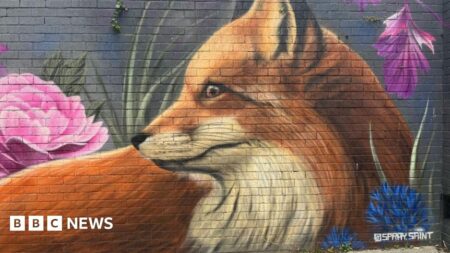 Man arrested as demonstrators gather in Plymouth city centre – BBC