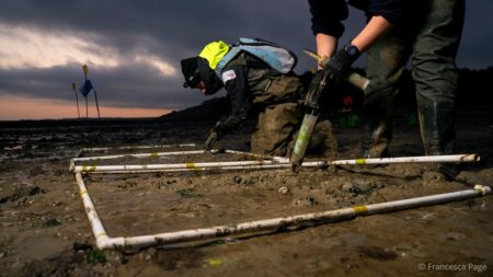 Marine Restoration course is a world first for Swansea – Swansea University