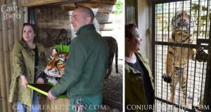 Dudley Zoo launches free coffee and cake mornings to help people connect – Express & Star