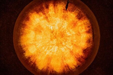 UKAEA funds fusion training with Edinburgh and York universities – GOV.UK