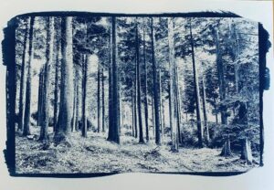 Further arrests following robbery in Tranmere – Birkenhead News