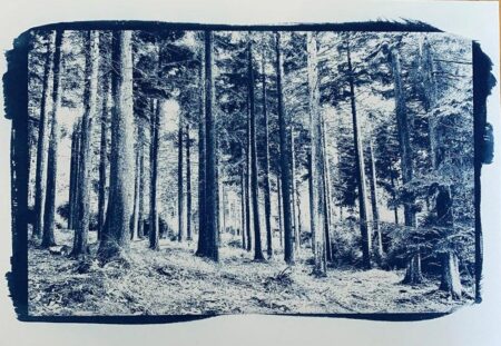 Further arrests following robbery in Tranmere – Birkenhead News