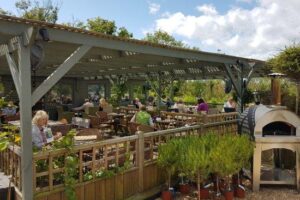Sussex garden centre cafe serving ‘fantastic’ food named among best in UK – The Argus