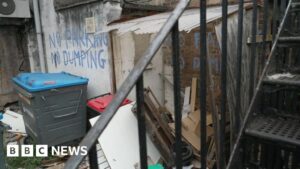 Croydon Council begins crackdown on ‘disgusting’ fly-tipping – BBC