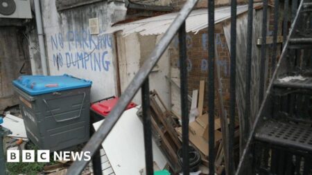 Croydon Council begins crackdown on ‘disgusting’ fly-tipping – BBC
