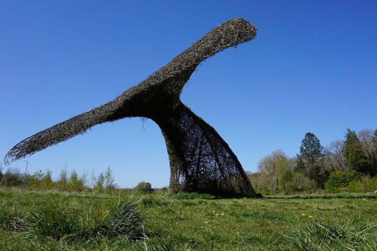 Restoration of Northampton’s Old Black Lion pub nearly finished – BBC Restoration of Northampton’s Old Black Lion pub nearly finished – BBC