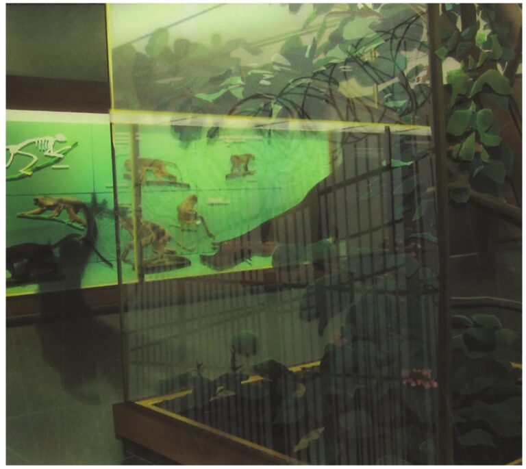 Harvesting the sun twice – The University of Sheffield Harvesting the sun twice – The University of Sheffield