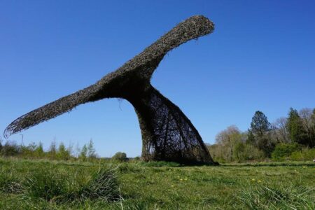 Man dies after being hit by Leicester council road sweeper – BBC Man dies after being hit by Leicester council road sweeper – BBC