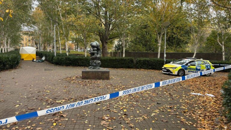 Young woman stabbed in Islington park with Met Police hunting knife attacker – MyLondon Young woman stabbed in Islington park with Met Police hunting knife attacker – MyLondon