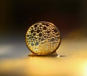 Matchday Info – Northampton Saints