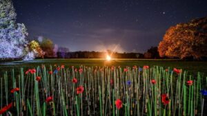 Newport marks Remembrance Sunday with parade and reflection – Yahoo News UK